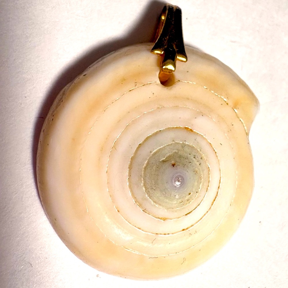 Vintage Cream Spiral Shell pendant